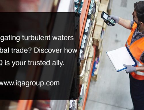 Navigating Turbulent Waters: How Shipping Disruptions Impact Global Trade?